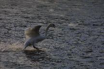 meIMG_2300.jpg