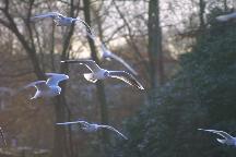 meIMG_2302.jpg
