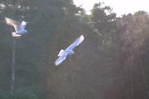 meIMG_2306.jpg