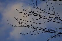 meIMG_2310.jpg