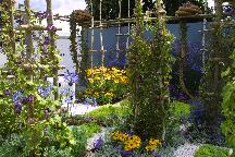meIMG_3856.jpg