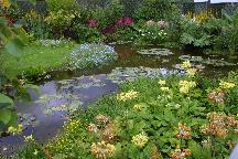 meIMG_3870.jpg