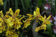 meIMG_3887.jpg