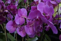 meIMG_3888.jpg