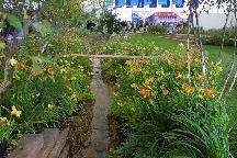 meIMG_3896.jpg