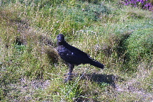 meIMG_1676.jpg