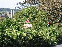 meIMG_0207.jpg