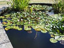 meIMG_0218.jpg