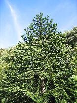 meIMG_0221.jpg
