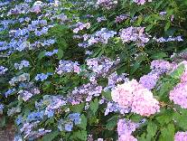 meIMG_0222.jpg