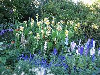 meIMG_0225.jpg