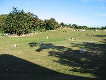 meIMG_0227.jpg