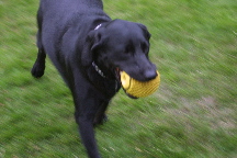 meIMG_1600.jpg
