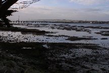 meIMG_0469.jpg