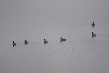 meIMG_0500.jpg