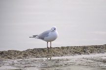 meIMG_0508.jpg