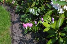 meIMG_1226.jpg