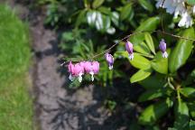 meIMG_1227.jpg