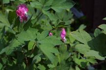 meIMG_1228.jpg