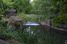 meIMG_1895.jpg