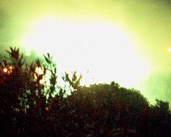 meIM000932.jpg