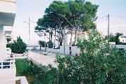 meCNV00009.jpg
