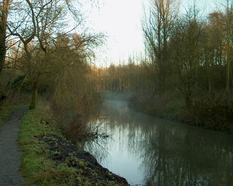meIM000544.jpg