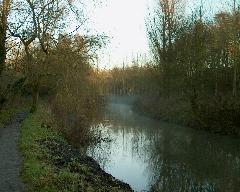 meIM000544.jpg