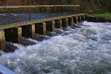 meIMG_0515.jpg