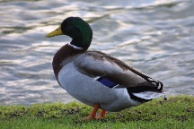 meIMG_0522.jpg