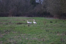 meIMG_0523.jpg