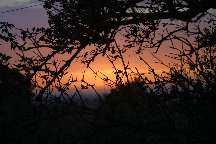 meIMG_1995.jpg