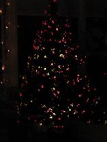 meIMG_0523.jpg