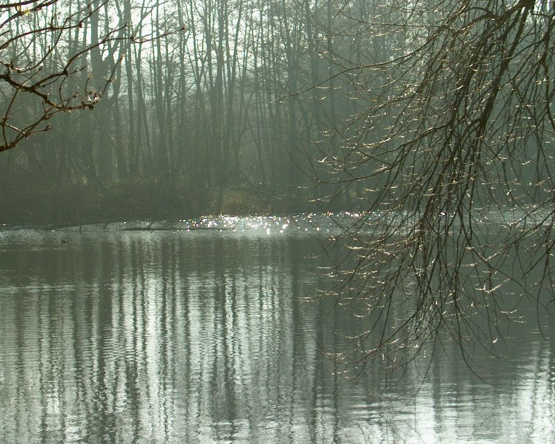 meIM000672.jpg