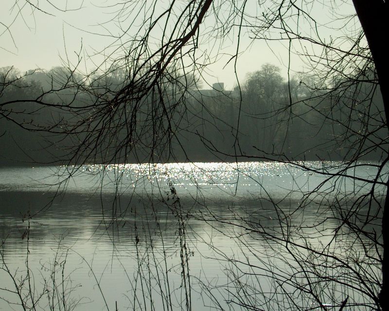 meIM000673.jpg