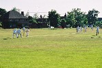 meboo00046.jpg