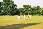 meboo00055.jpg