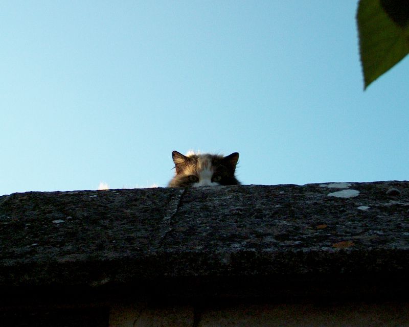 meIM001047.jpg