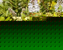 meIM001028.jpg