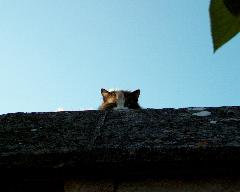 meIM001047.jpg