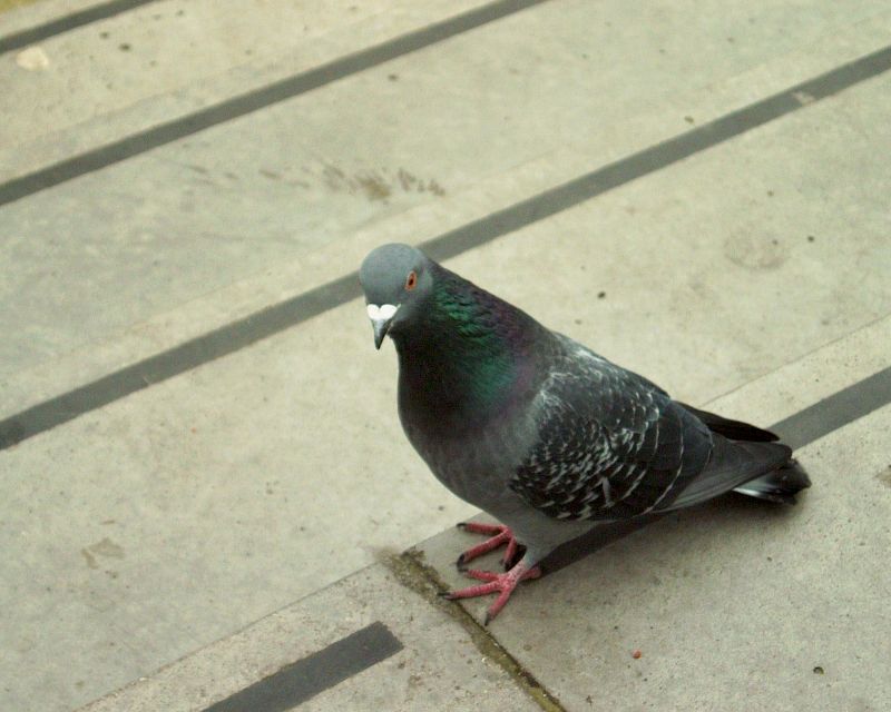 meIM000721.jpg