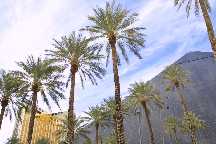 meIMG_2466.jpg