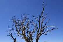 meIMG_2659.jpg