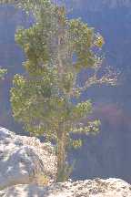 meIMG_2672.jpg
