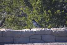 meIMG_2676.jpg