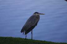 meIMG_2734.jpg