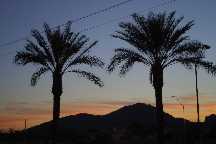 meIMG_2779.jpg