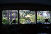 meIMG_2810.jpg