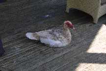 meIMG_2815.jpg