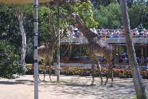 meIMG_2821.jpg
